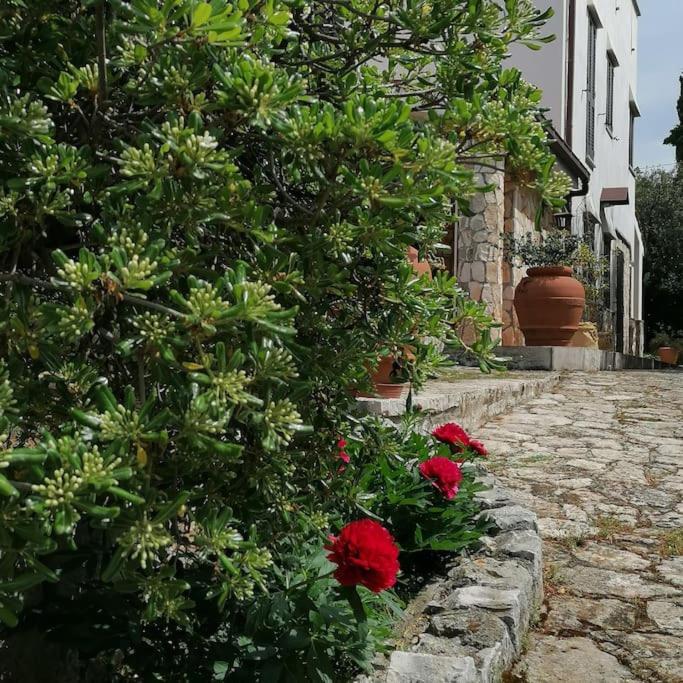 Casa Marisa Villa Vacanza Кастеллана-Гротте Экстерьер фото